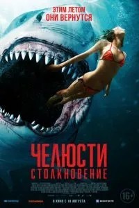 Щелепи. Зіткнення