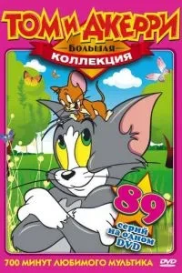 За що покарали кота