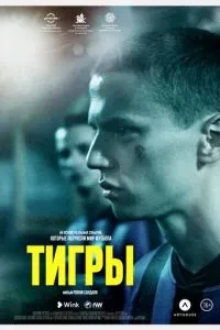 Тигри