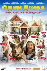 Самі вдома