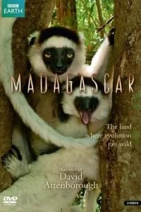 BBC: Мадаґаскар / Мадагаскар