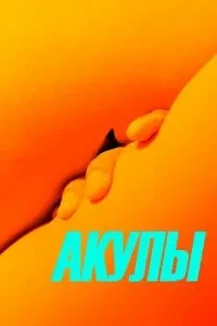 Акули