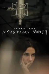 Пі Джей Харві: A Dog Called Money