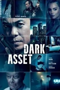 Dark Asset