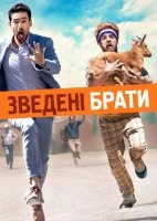 Зведені брати