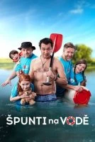 Дрібота на воді