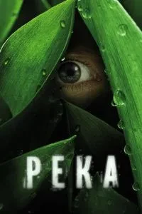 Річка