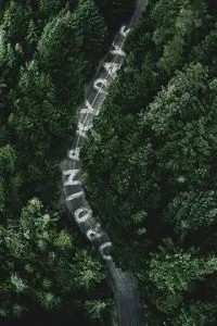 Звичайні дні