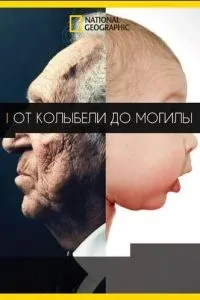 Від колиски до могили