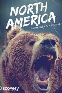 Discovery: Північна Америка