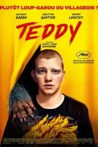 Тедді