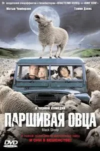 Паршива вівця