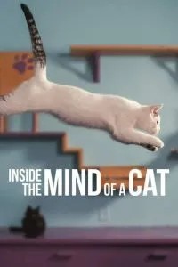 Усередині розуму кішки