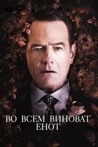 У всьому винен єнот