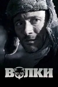 Вовки