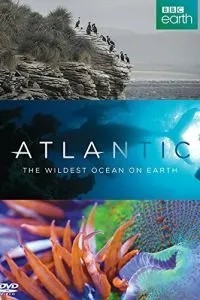 Атлантика: Найнеприборканіший океан на Землі