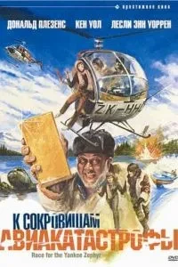 До скарбів авіакатастрофи