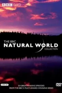 BBC: Світ природи