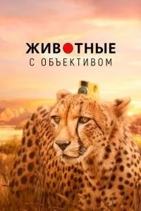 Тварини з об'єктивом