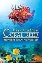 Кораловий риф: дивовижні підводні світи