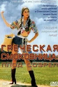 Грецька смоківниця