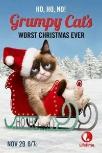Найгірше Різдво Сердитий кішки
