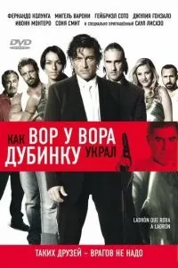 Як злодій у злодія кийок вкрав
