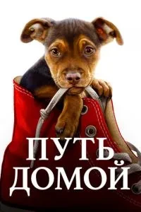 Шлях додому