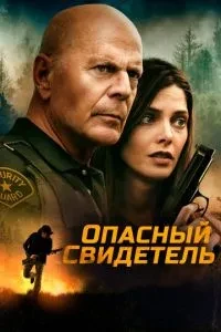 Небезпечний свідок