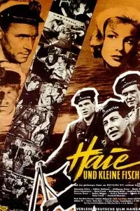 Акули та дрібні рибки