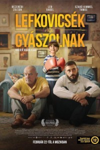 Все про Левковичів