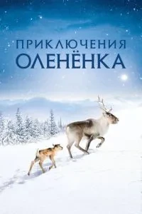 Пригоди оленя