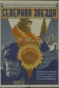 Північна зірка