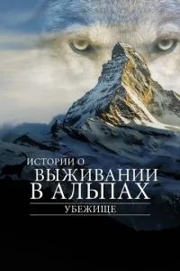 Притулок. Історії про виживання в Альпах
