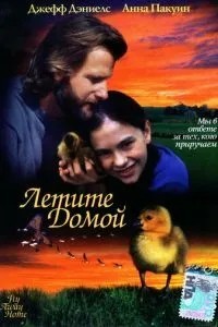 Летіть додому