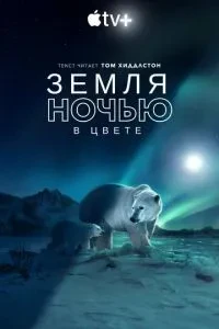 Земля вночі у кольорі