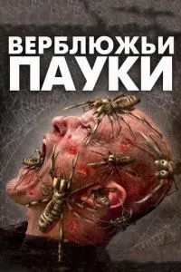 Верблюжі павуки