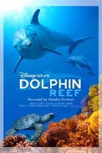 Дельфіній риф