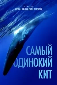 Самий самотній кит