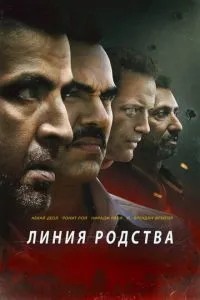 Лінія спорідненості